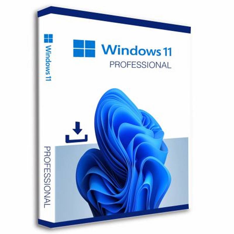 Windows 11 Pro Licence 1 licence OEM DVD 64-bit