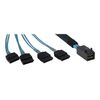 InterTech SATA SAS cable SAS 12Gbits 4 x Mini SAS HD 88885003