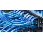 Networking & Cables