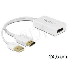 DeLOCK Video converter HDMI, DisplayPort 62496