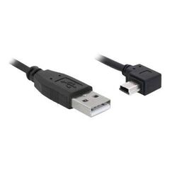 DeLOCK USB cable USB (M) to mini-USB Type B (M) 5 m 82684