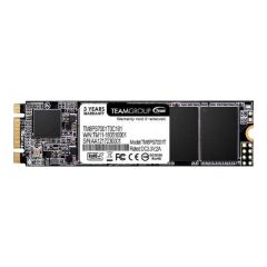 Team Group MS30 Solid state drive 256 GB TM8PS7256G0C101