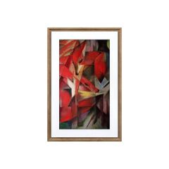 Meural Canvas II MC321 Digital photo frame 21.5 MC321HW-10000S