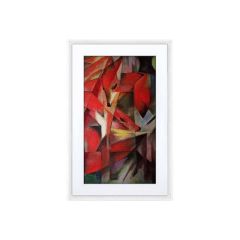 Meural Canvas II MC321 Digital photo frame 21.5 MC321WL-10000S