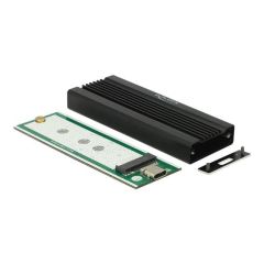 DeLOCK Storage enclosure M.2 Card USB 3.1 (Gen 2) 42600