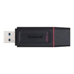 Kingston DataTraveler Exodia USB flash drive 256 DTX256GB