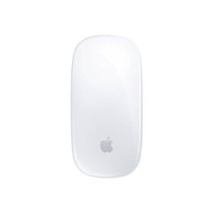 Apple Magic Mouse Mouse multi-touch wireless MK2E3ZA