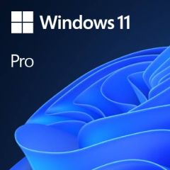 Windows 11 Pro Licence 1 licence OEM DVD 64-bit FQC-10528