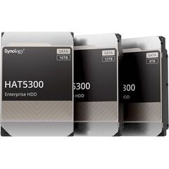 Synology HAT5300 Hard drive 12 TB internal HAT5300-12T