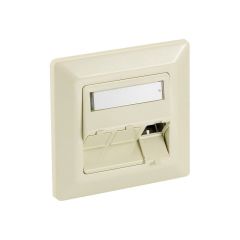 Digital Data Flush mount wallplate pearl white 3 760304