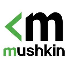 Mushkin Essentials DDR4 module 32 GB DIMM 288pin MES4U266KF32G