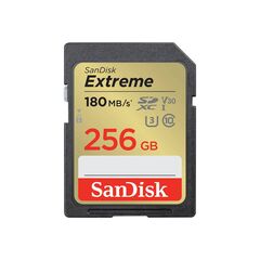 SanDisk Extreme Flash 256 GB SDSDXVV256G-GNCIN