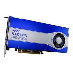 AMD Radeon Pro W6600 Graphics card 100506159