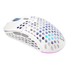 Endorfy LIX Onyx Mouse optical 6 buttons wireless EY6A010