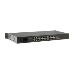 LevelOne FGP-2601W150 / Switch