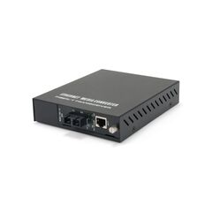 LevelOne GVM-1220 / Fibre media converter