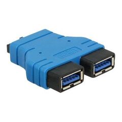 DeLOCK USB internal adapter USB Type A (F) to 20 pin USB 65670