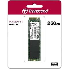 Transcend 115S SSD 250 GB internal M.2 2280 TS250GMTE115S