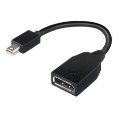 Lenovo DisplayPort adapter Mini DisplayPort (M) 4X90L13971