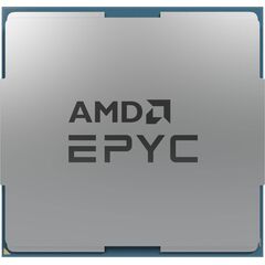 AMD EPYC 75F3 2.95 GHz 32core 64 threads 100000000313