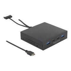 Delock Storage bay ports panel USB 3.2 Gen 2 TypeC 64057