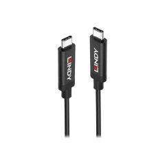 Lindy USB cable USB Type A (M) to USB Type A (M) USB 3.1 43308