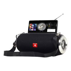 Gembird SPK-BT-17 - Speaker - for portable use - wireless - Bluet