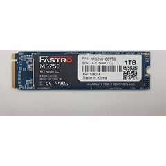 MEGA Fastro SSD 1TB MS250 Series PCIExpress NVMe MS250100TTS