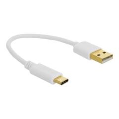 Delock - USB cable - USB (power only) (M) to USB-C (power | 85355