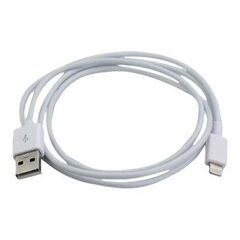 TECHly - Lightning cable - Lightning male to US | ICOC-APP-8WHTY2