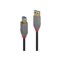 Lindy Anthra Line - USB cable - USB Type A (M) to USB Typ | 36740