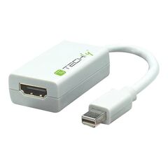 TECHly - Video adapter - Mini DisplayPort (M) t | IADAP-MDP-HDMIF