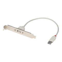 Lindy USB PC Back Plate - USB adapter - USB (F) to USB (M | 33123