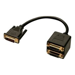 Lindy DVI Splitter Cable - DVI splitter - DVI-D (M) to DV | 41215