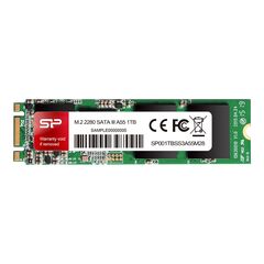 SILICON POWER M.2 2280 A55 - SSD - 256 GB - in | SP256GBSS3A55M28