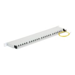 DeLOCK Patch panel RJ45 X 24 light grey, RAL 7035 0.5U 43315