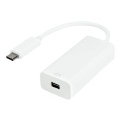 LogiLink - USB / DisplayPort adapter - USB-C (M) reversi | UA0360