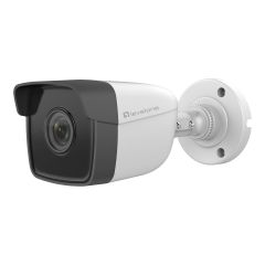LevelOne GEMINI series FCS-5201 - Network surveillance camera - o