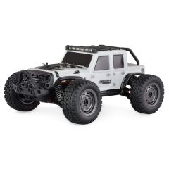 Amewi 22606 / Cross-country truck / 1 16 / Electric engine / 14 y