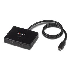 Lindy Hub 2 x USB 3.2 Gen 1 43329