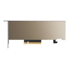 NVIDIA A2 - GPU computing processor - A2 - 16 GB G | TCSA2MATX-PB
