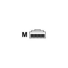 Datalogic CAB-461 - Serial cable - RJ-45 (10 pin) (M) - 3.6 m - c