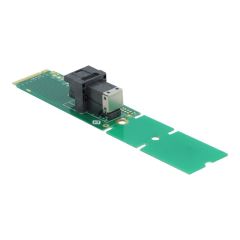 Delock Adapter M.2 Key M to SFF-8643 NVMe 22110 / 2280 /  | 63145