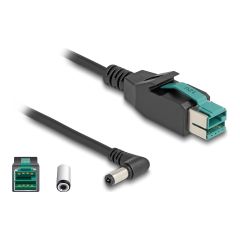 Delock - PoweredUSB cable - USB PlusPower (12 V) (M) to D | 80609