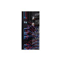 APC AP8000 / Power cable / power IEC 60320 C13 t | AP8702S-WWX590