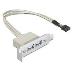 Delock Slot bracket USB 2.0 low profile 2 port