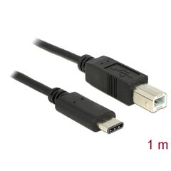 Delock Cable USB Type-C 2.0 male to USB2.0