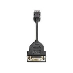 HP - DVI adapter - DisplayPort (M) - DVI-D (F) - 19 cm  FH973AA, image 