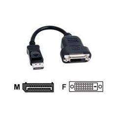 Matrox TripleHead2go upgrade - Display adapter - DisplayPort (M) - DVI-D (F) - 20 cm (CAB-DP-DVIF), image 