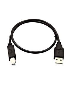 V7 USB cable USB (M) to USB Type B (M) V7USB2AB-50C-1E